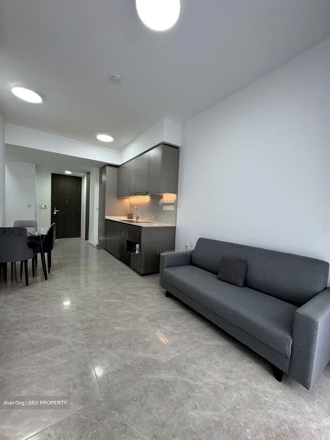 Piccadilly Grand (D8), Apartment #556153811